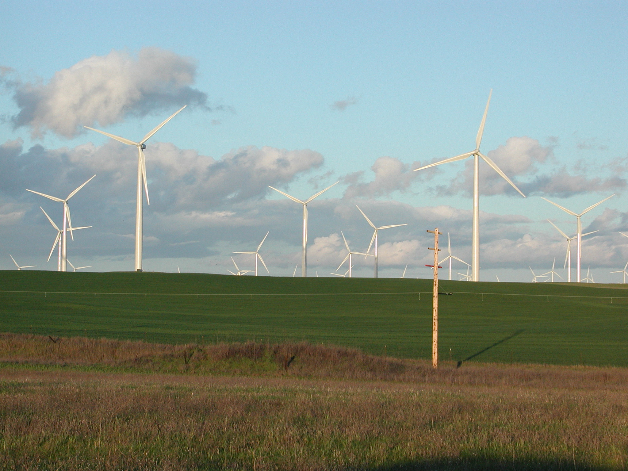 Image of a wind farm